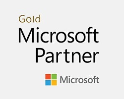 Partner-Microsoft-Gold-Partner-2